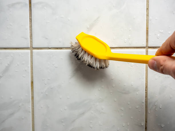 Best Mold Removal Company Near Me  in Rawls Springs, MS