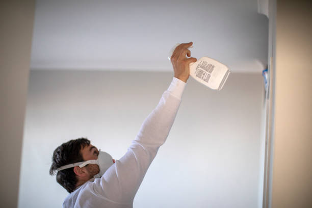 Best Mold Remediation  in Rawls Springs, MS
