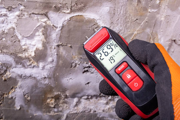Best Local Mold Removal Service  in Rawls Springs, MS