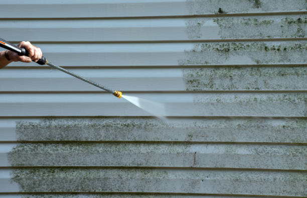 Best Mold Removal Process  in Rawls Springs, MS