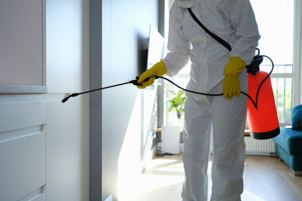 Best Home Mold Removal  in Rawls Springs, MS