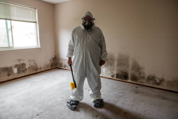 Best Professional Mold Removal  in Rawls Springs, MS